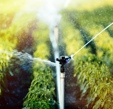 農田灌溉產品應用現場